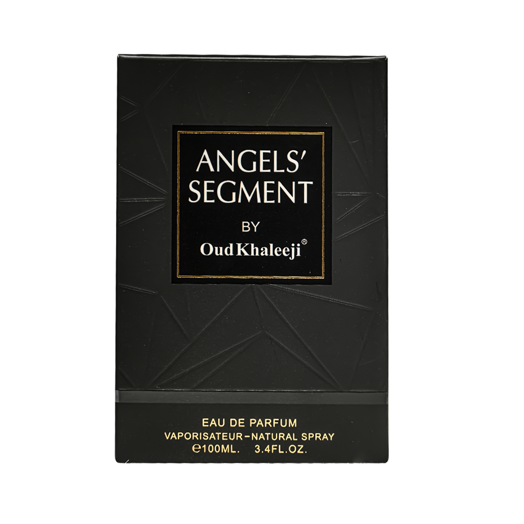 Angel Segment 1 copy