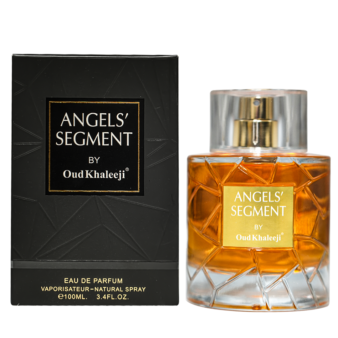 Angel Segment 3 copy